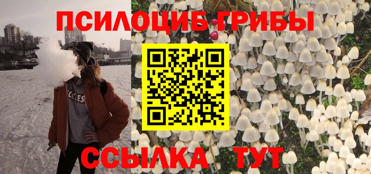 Сертолово  Галлюциногенные грибы мицелий  Вход с VPN 
