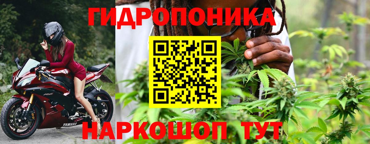 Бошки марихуана White Widow Сертолово